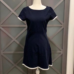 JCrew| Navy and white dress - 6 / 00056